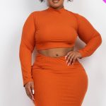 Plus Size Ribbed Mock Neck Crop Top & Midi Skirt Set